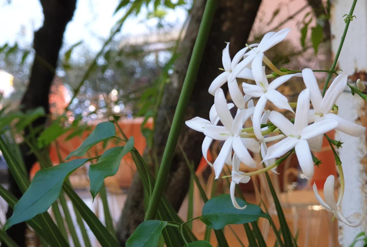 Albergo Bellavista Limone sul Garda Εξωτερικό φωτογραφία
