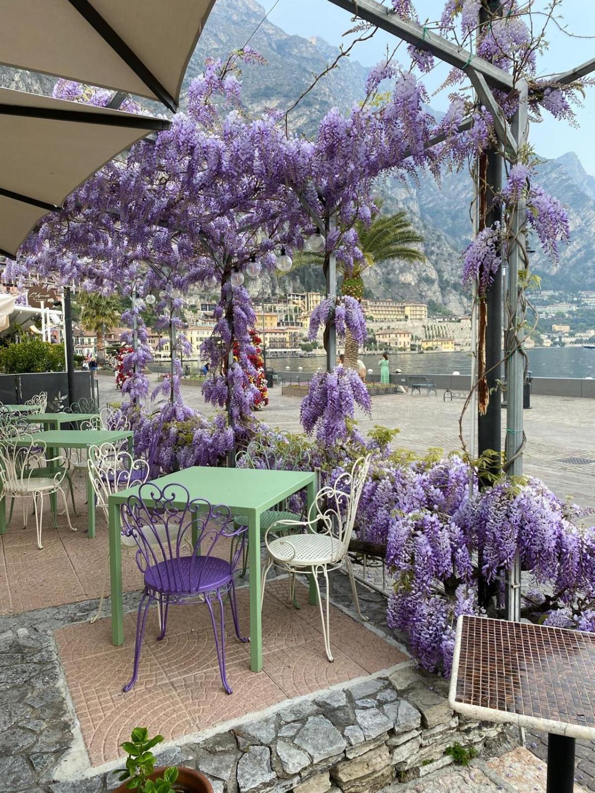 Albergo Bellavista Limone sul Garda Εξωτερικό φωτογραφία